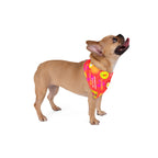 Tropical Vacation Pet Bandana — 'My Little Sweetheart' Summer Print